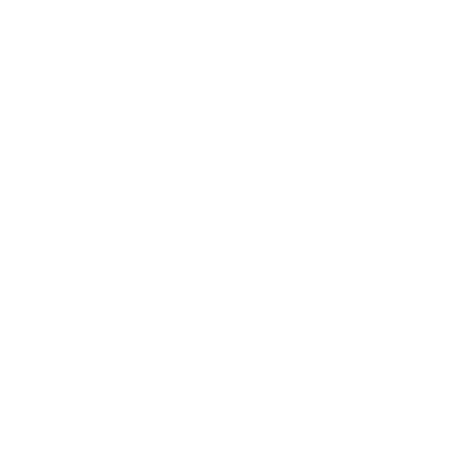 feature-item-1